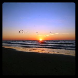 Meet your Posher, Micki